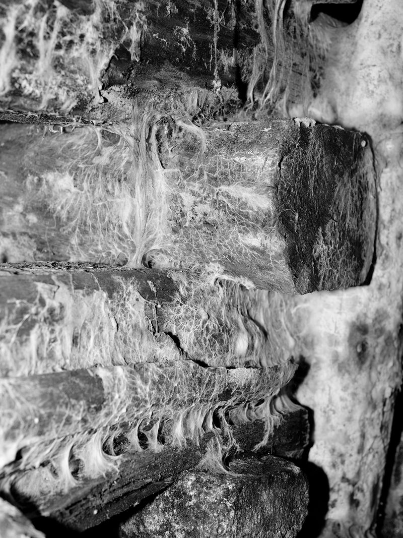 © Tomasz Kawecki - Image from the In Praise of Shadow photography project