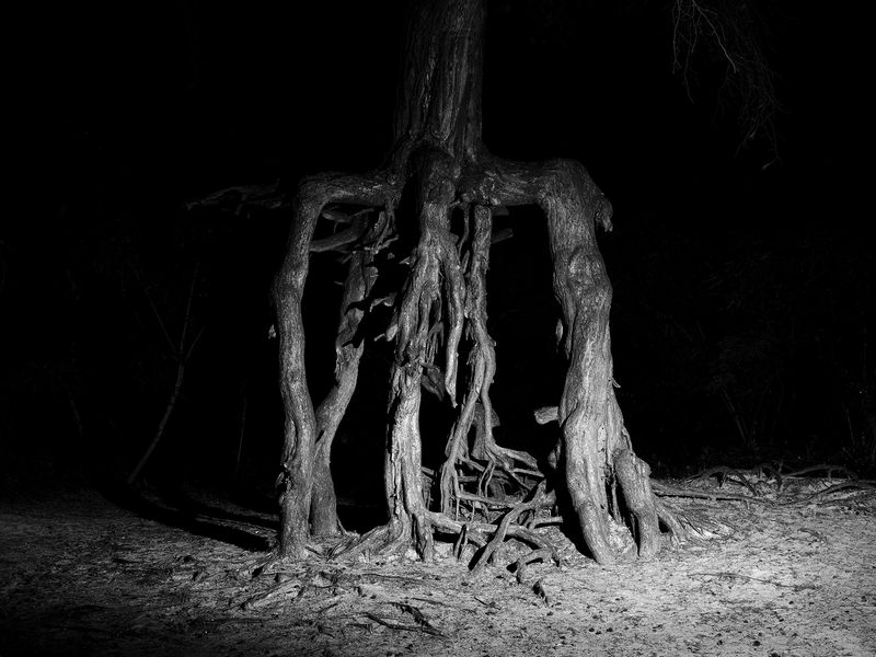 © Tomasz Kawecki - Image from the In Praise of Shadow photography project