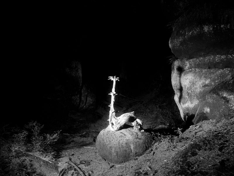 © Tomasz Kawecki - Image from the In Praise of Shadow photography project