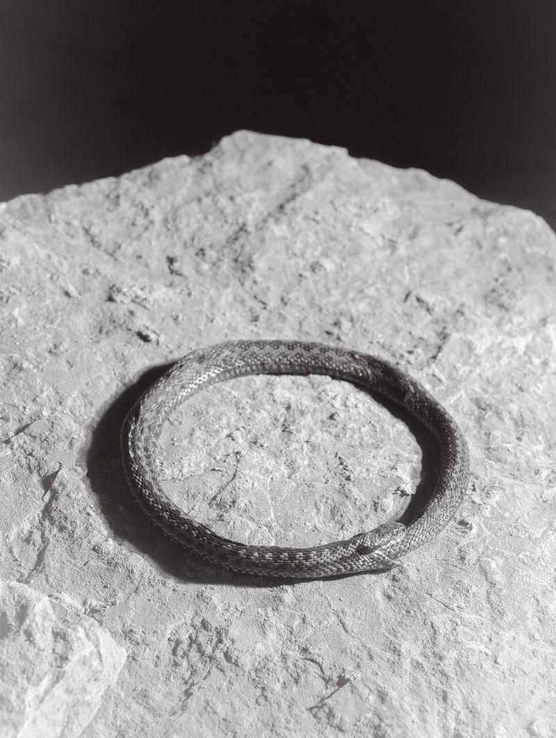 © Tomasz Kawecki - Image from the In Praise of Shadow photography project