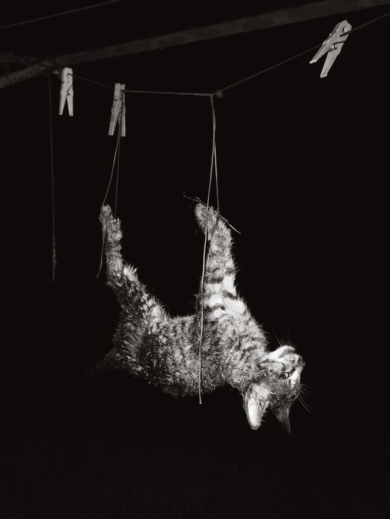 © Tomasz Kawecki - Image from the In Praise of Shadow photography project