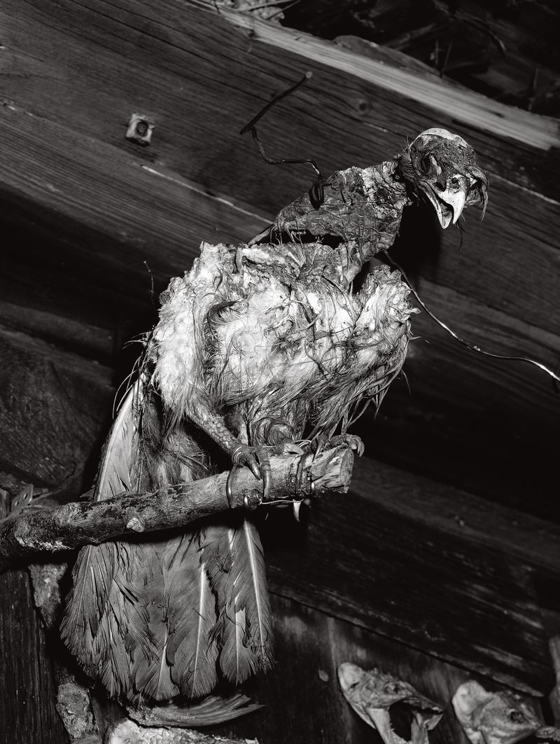 © Tomasz Kawecki - Image from the In Praise of Shadow photography project