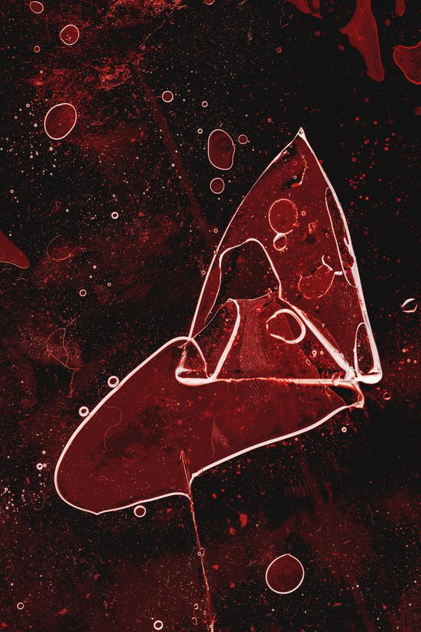 © Aaron Cohen - Image from the Copyright: Camera photography project