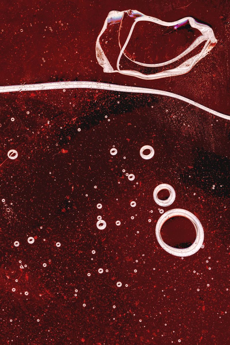 © Aaron Cohen - Image from the Copyright: Camera photography project