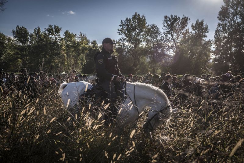 © Sergey Ponomarev - Mounted police escort hundreds of migrants after they crossed from Croatia in Dobova, Slovenia.