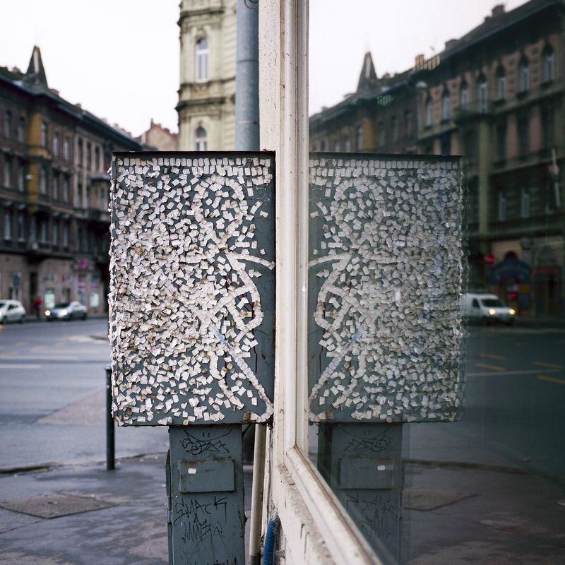 © Máté Bartha - Anima Mundi