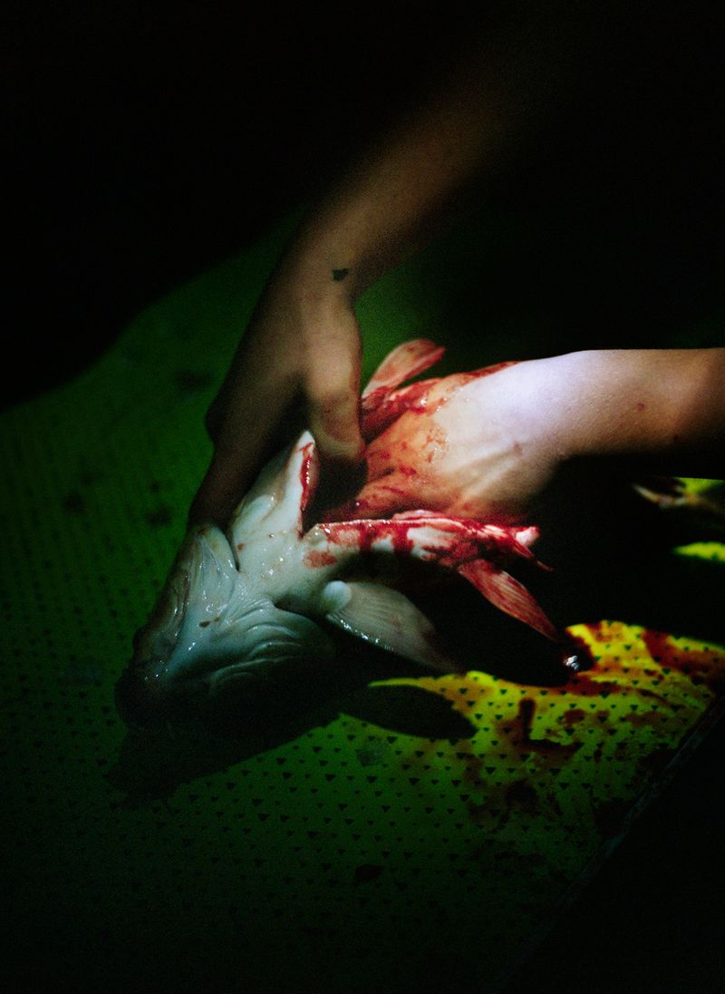 © Máté Bartha - Image from the Kontakt photography project