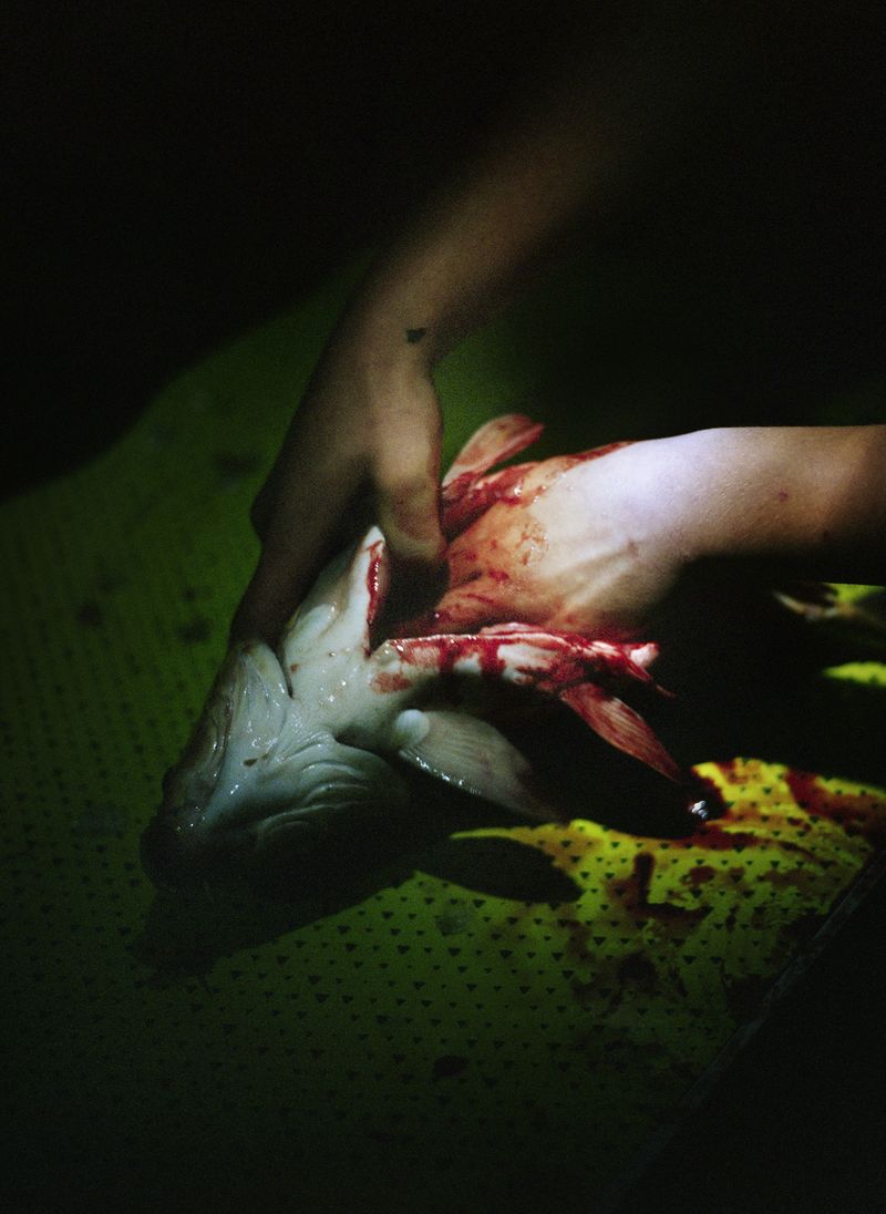 © Máté Bartha - Image from the Kontakt photography project