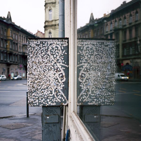 © Máté Bartha - Anima Mundi
