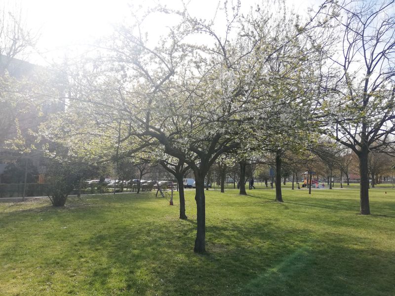 © Irene Grazi - Image from the 23 marzo 2021 Lock down photography project