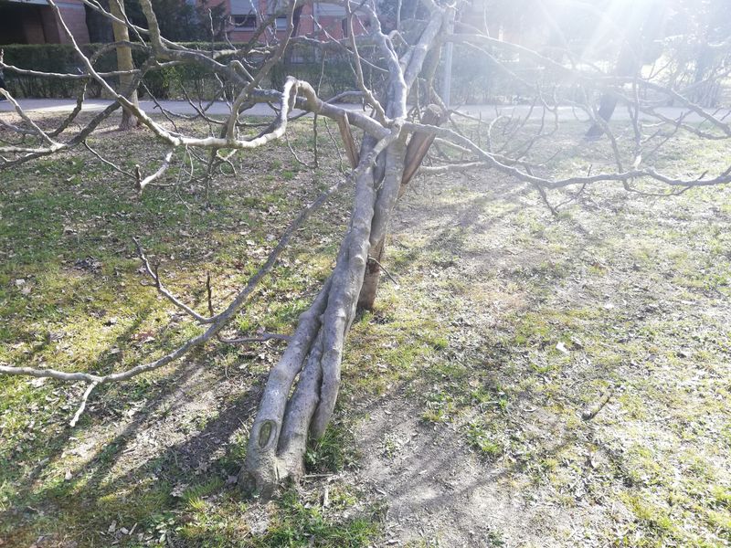 © Irene Grazi - Image from the 23 marzo 2021 Lock down photography project