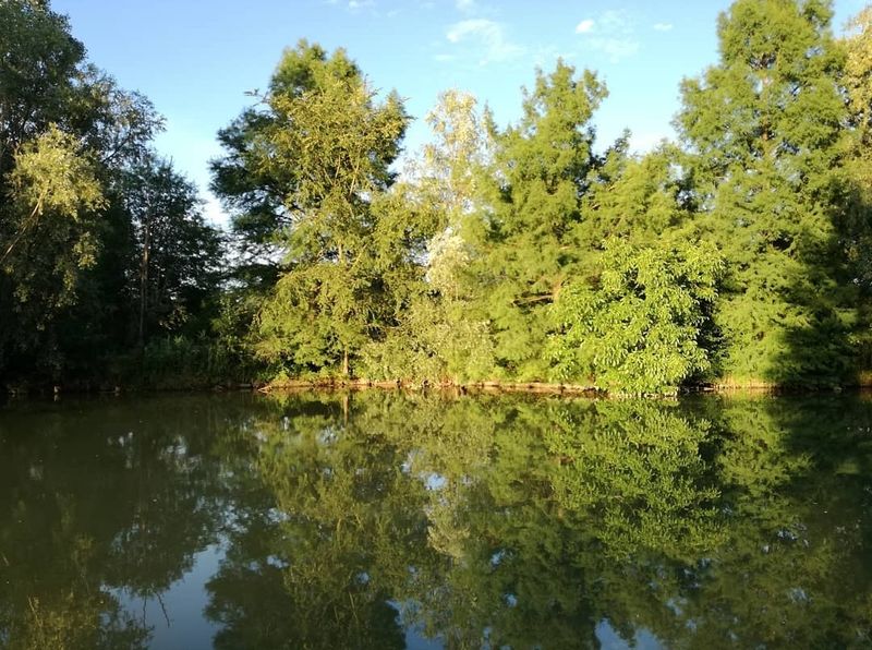 © Irene Grazi - Image from the Landscape in Italy photography project