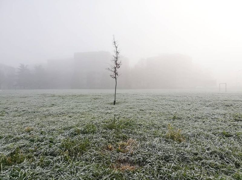 © Irene Grazi - Image from the Landscape in Italy photography project