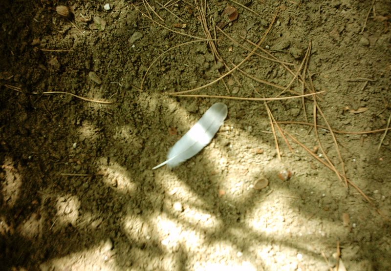 © Irene Grazi - Image from the Colors in my life photography project