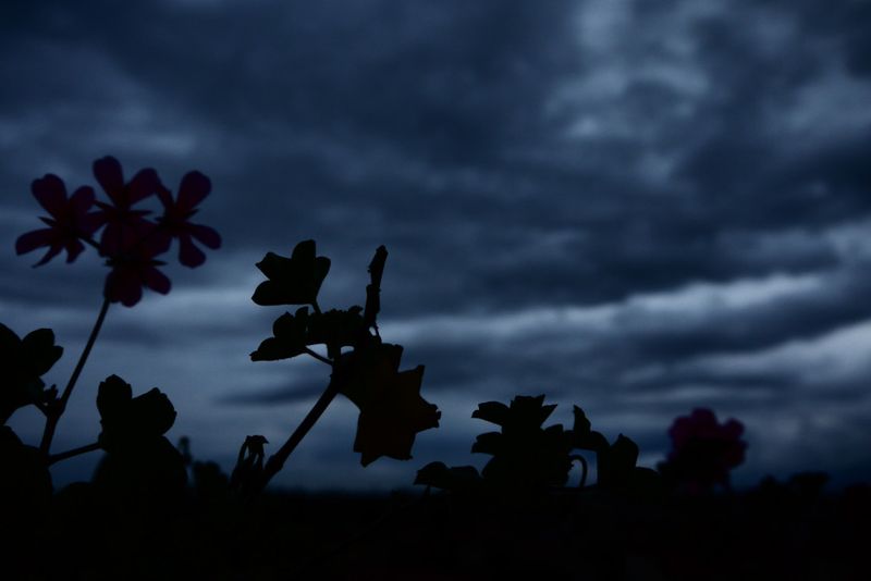 © Irene Grazi - Image from the Colors in my life photography project