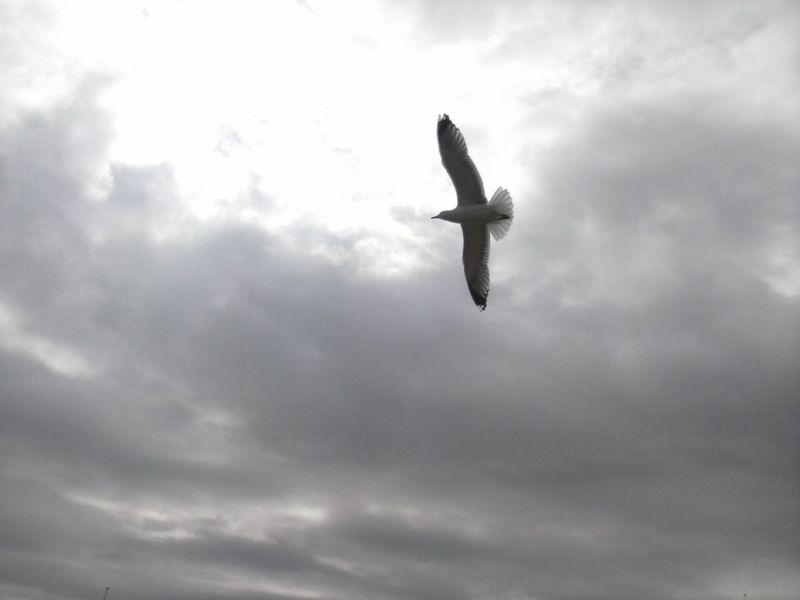 © Irene Grazi - Image from the Colors in my life photography project