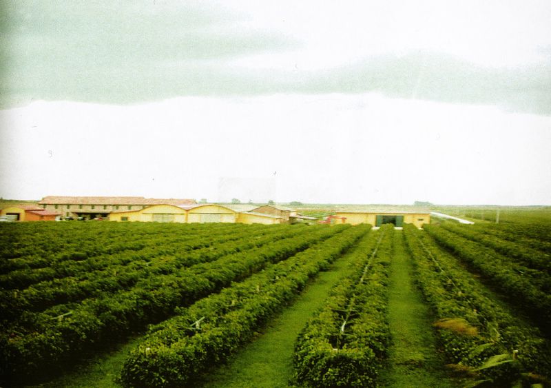 © Irene Grazi - Image from the Colors in my life photography project