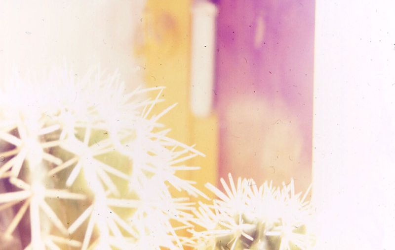 © Irene Grazi - Image from the Colors in my life photography project