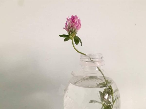 © Irene Grazi - Image from the I'm Alone Today 2020 photography project