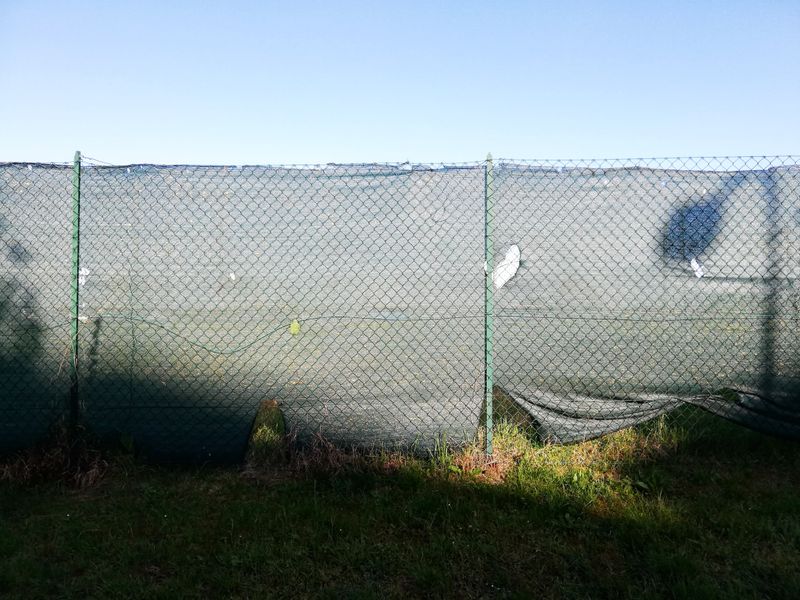 © Irene Grazi - Image from the Sotto casa oggi. Aprile 2021. photography project