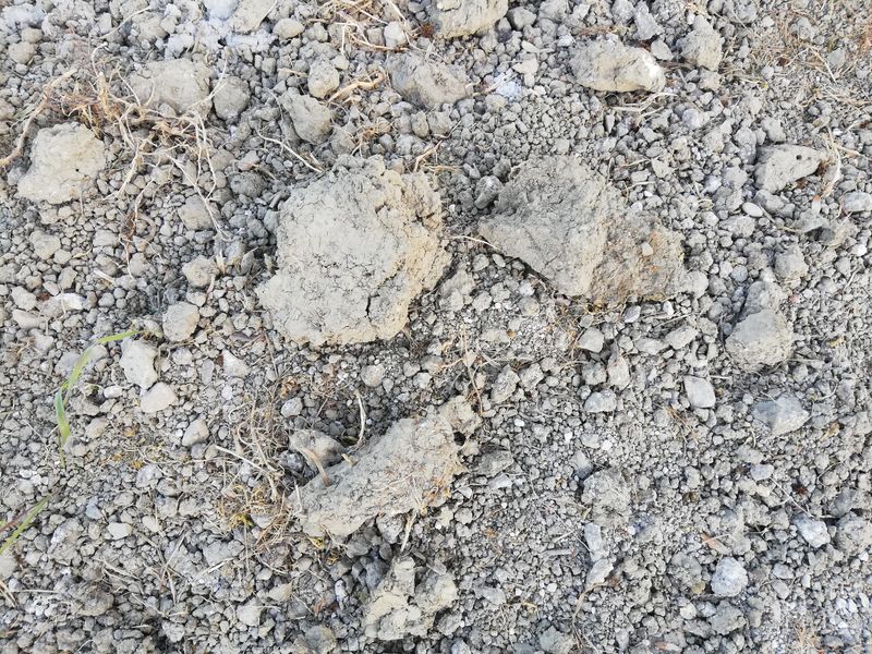 © Irene Grazi - Image from the Sotto casa oggi. Aprile 2021. photography project