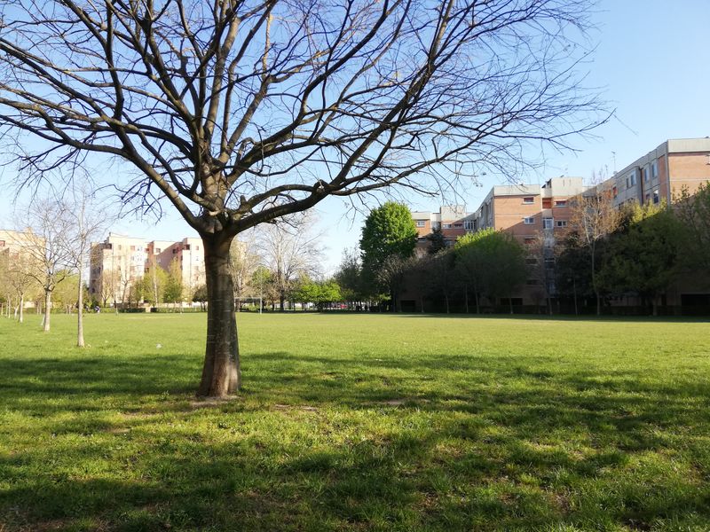 © Irene Grazi - Image from the Sotto casa oggi. Aprile 2021. photography project