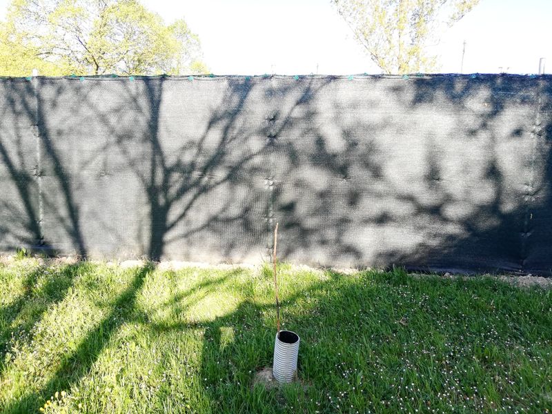 © Irene Grazi - Image from the Sotto casa oggi. Aprile 2021. photography project