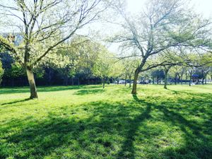 Sotto casa oggi. Aprile 2021.