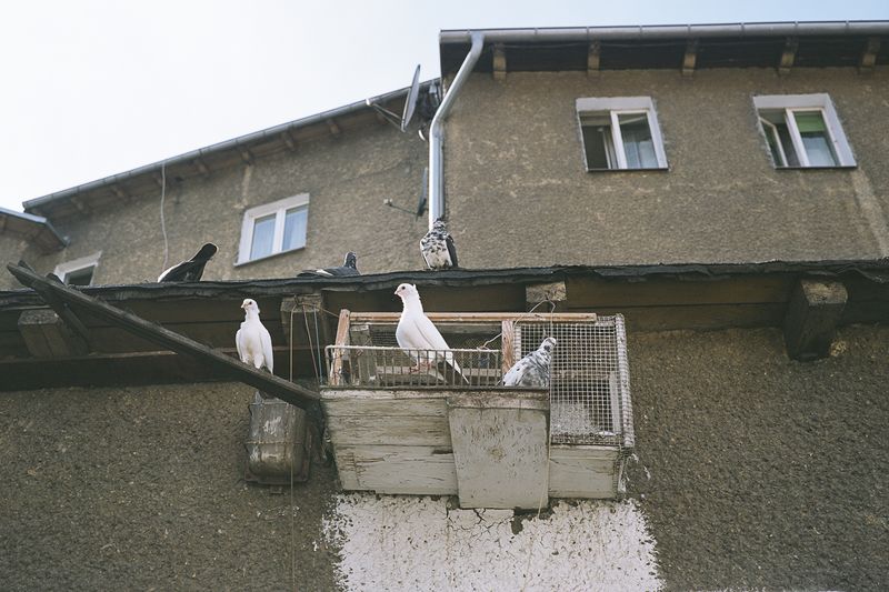 © Natalia Kepesz - Image from the Goldberg photography project