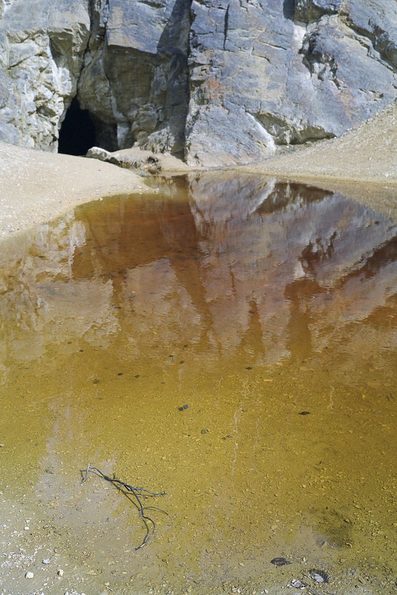 © Natalia Kepesz - Image from the Goldberg photography project