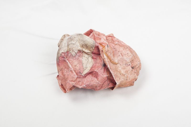 © Pauline Rowan - Crushed