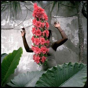 Sexual and Gender-based Violence in Haiti