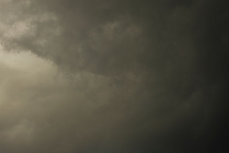 © Roxana and Pablo Allison - Untitled, 2012