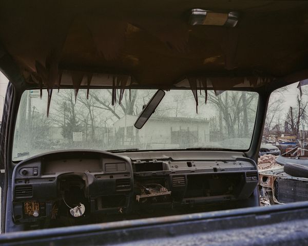 © Morganne Boulden - Image from the When Flies Sit Still photography project
