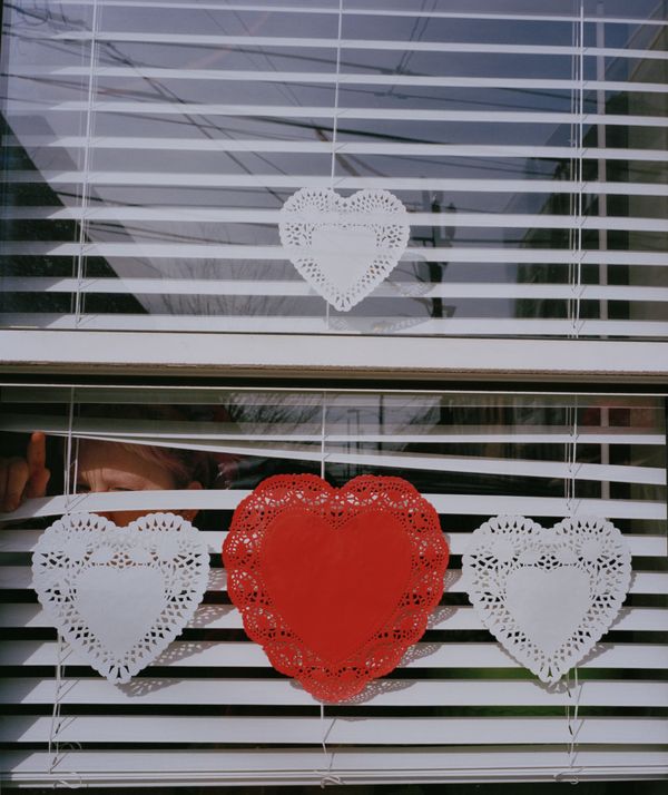 © Morganne Boulden - Image from the When Flies Sit Still photography project