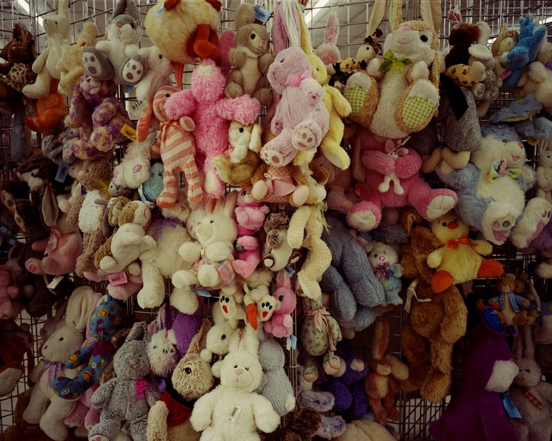 © Morganne Boulden - Image from the When Flies Sit Still photography project
