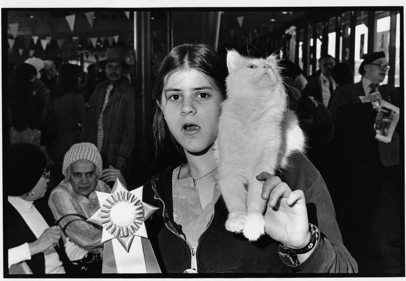 © Diana Mara Henry - Young winner and her winning cat at the Empire Cat Club show.