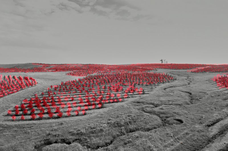 © Ana Paula Pereira - Image from the Gualicho photography project