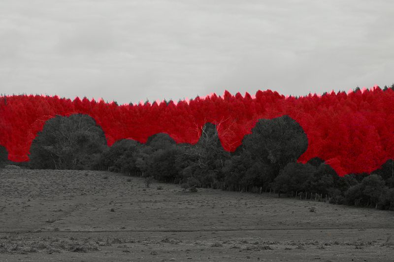 © Ana Paula Pereira - Image from the Gualicho photography project
