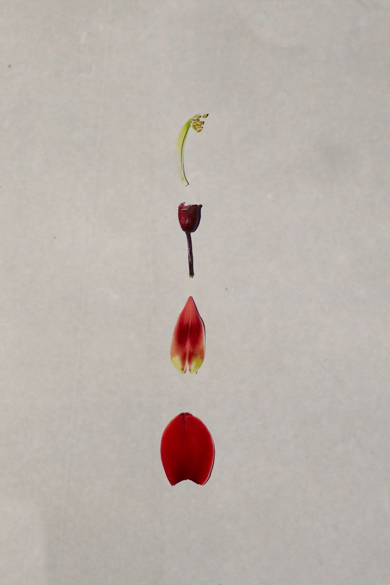 © Ana Paula Pereira - Image from the Gualicho photography project