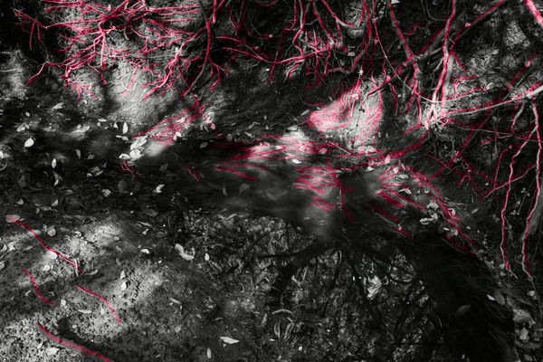 © Ana Paula Pereira - Image from the Gualicho photography project