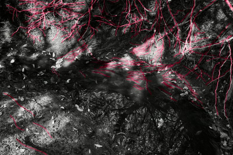 © Ana Paula Pereira - Image from the Gualicho photography project