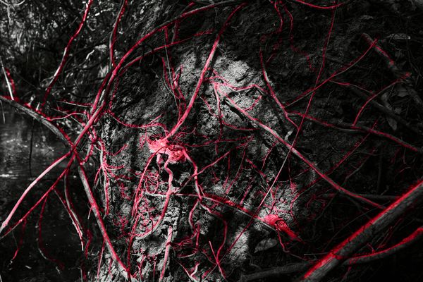 © Ana Paula Pereira - Image from the Gualicho photography project