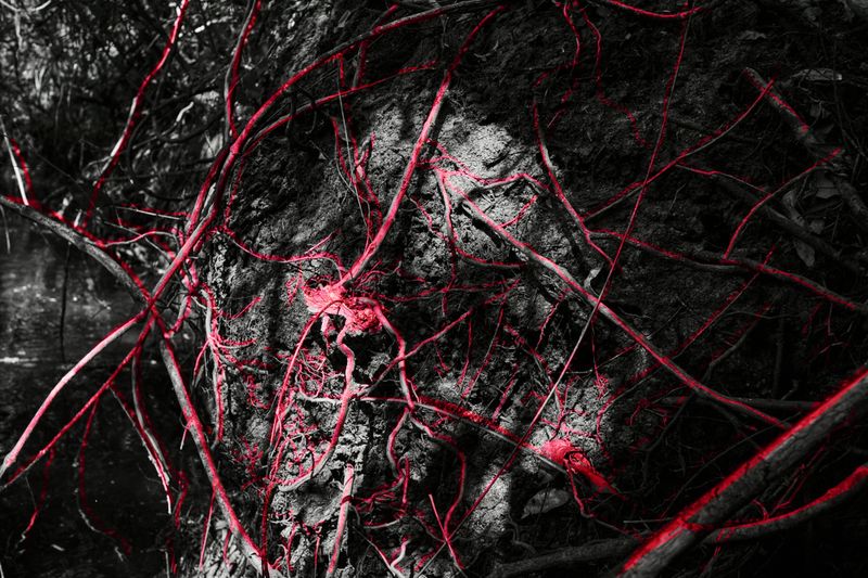 © Ana Paula Pereira - Image from the Gualicho photography project