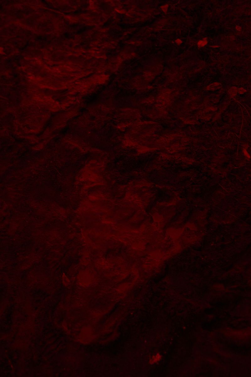 © Ana Paula Pereira - "Gualicho" 2025. Gualicho invoked as a protective presence within the territory.