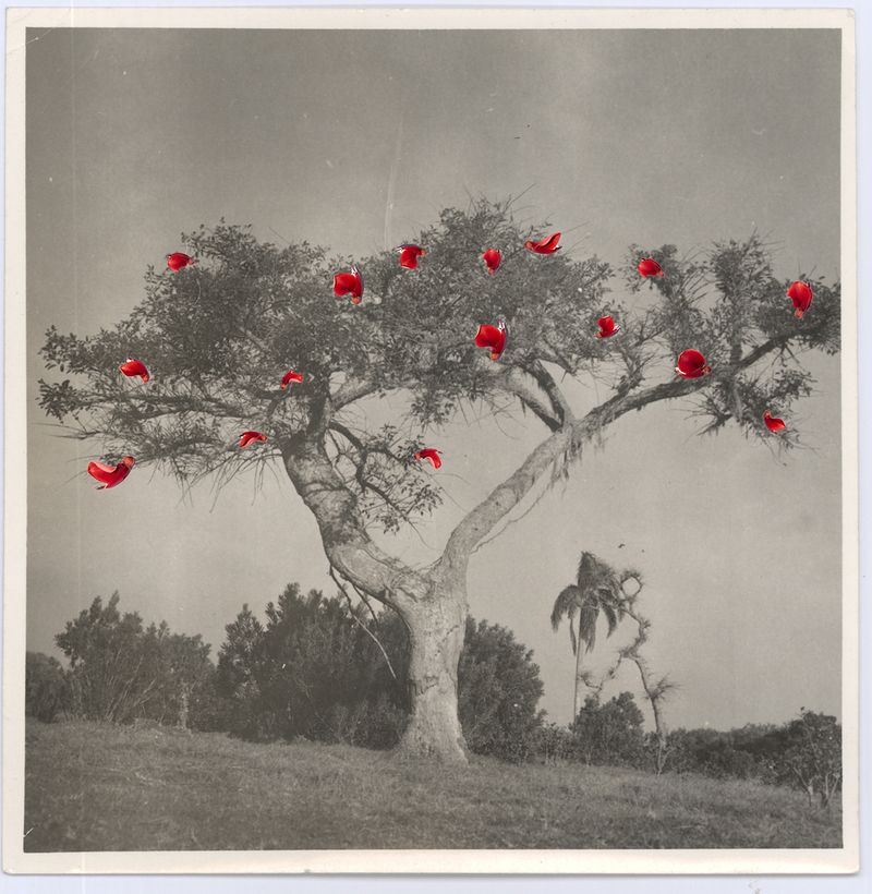 © Ana Paula Pereira - Image from the Aquí me hallo/Gualicho photography project