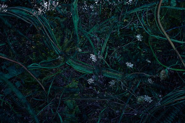 © Ana Paula Pereira - Image from the A key to survival photography project