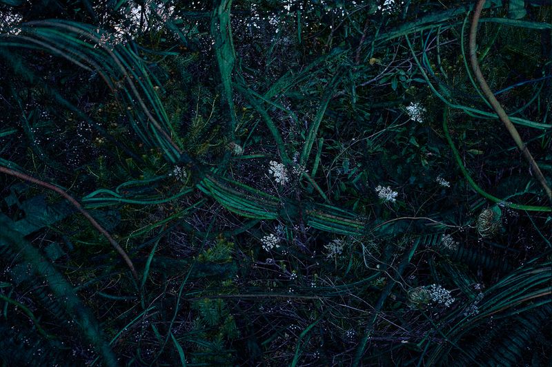 © Ana Paula Pereira - Image from the A key to survival photography project