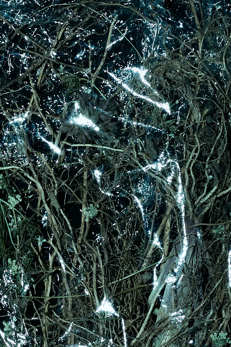 © Ana Paula Pereira - Image from the A key to survival photography project