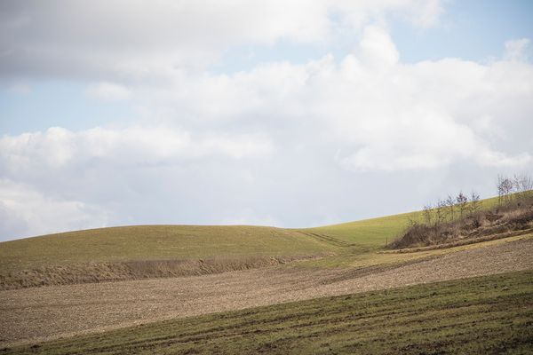 © Irene Charlotte - Image from the Matriarchal Spring photography project